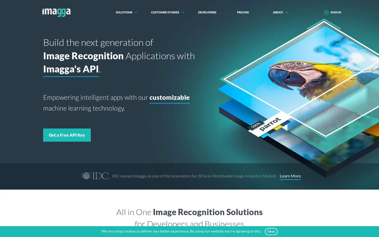 Image Recognition API, Computer Vision AI – Imagga
